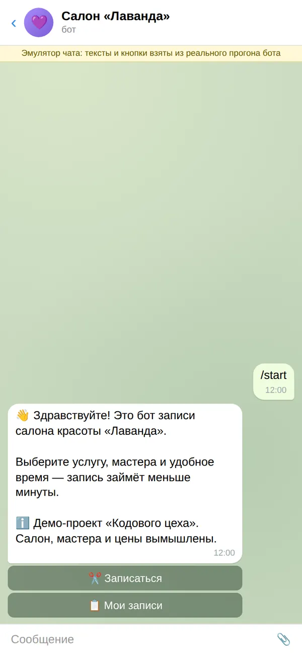 Скриншот 1 из 16: /start — Приветствие салона и пометка «Демо-проект»